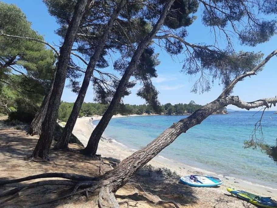 Studio Cabine Climatise 800 M De La Plage Et Des Commerces บอร์มส์-เลส์-มิโมซาส์ ภายนอก รูปภาพ